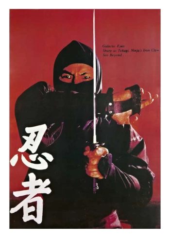 poster ninja bojevnika