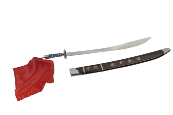 chinese wushu sword with scabbard