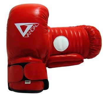 Usnjena boksarska fokuser rokavica ''MASTER''  (par) - V AKCIJI!!!