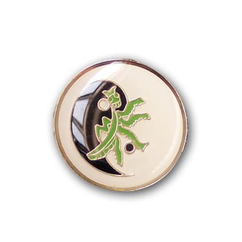 tai chi lapel pin